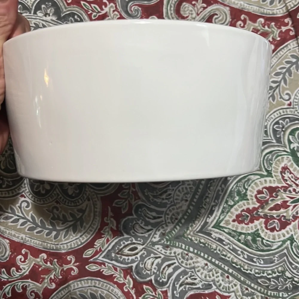 Rae Dunn Holiday dog bowl